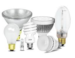 bulbs2