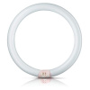 circline_2
