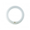 g10q-circline-22w-bl368-actinique-368nm-sylvania-p-4997769-10002832_1