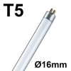 t5_16