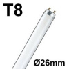 t8_26_869000772