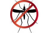 insectes