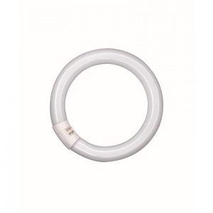 circline
