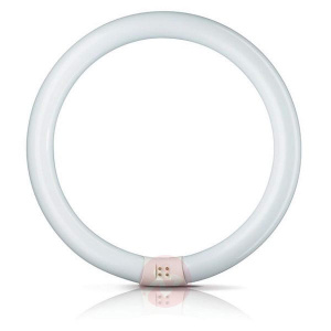 circline_2