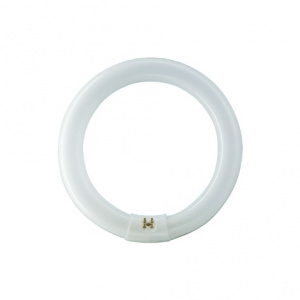 g10q-circline-22w-bl368-actinique-368nm-sylvania-p-4997769-10002832_1