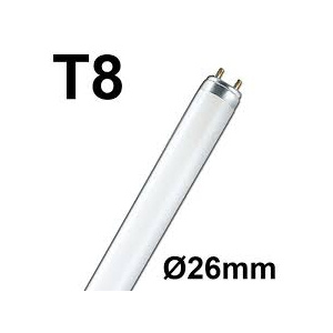 t8_26_869000772