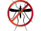 insectes