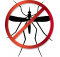 insectes